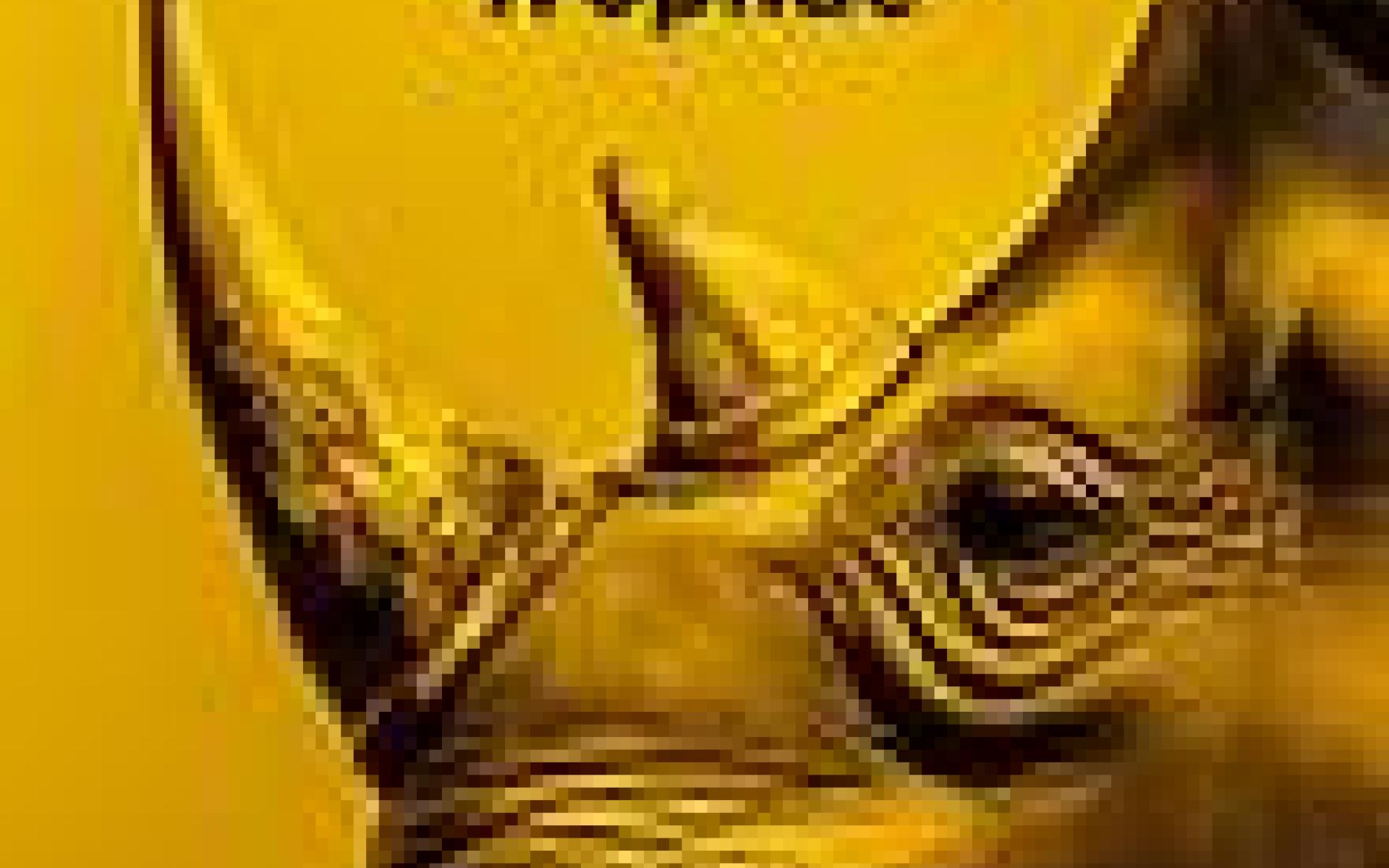 tr